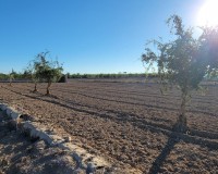 Revente - Finca / Propriété de campagne - San Miguel de Salinas