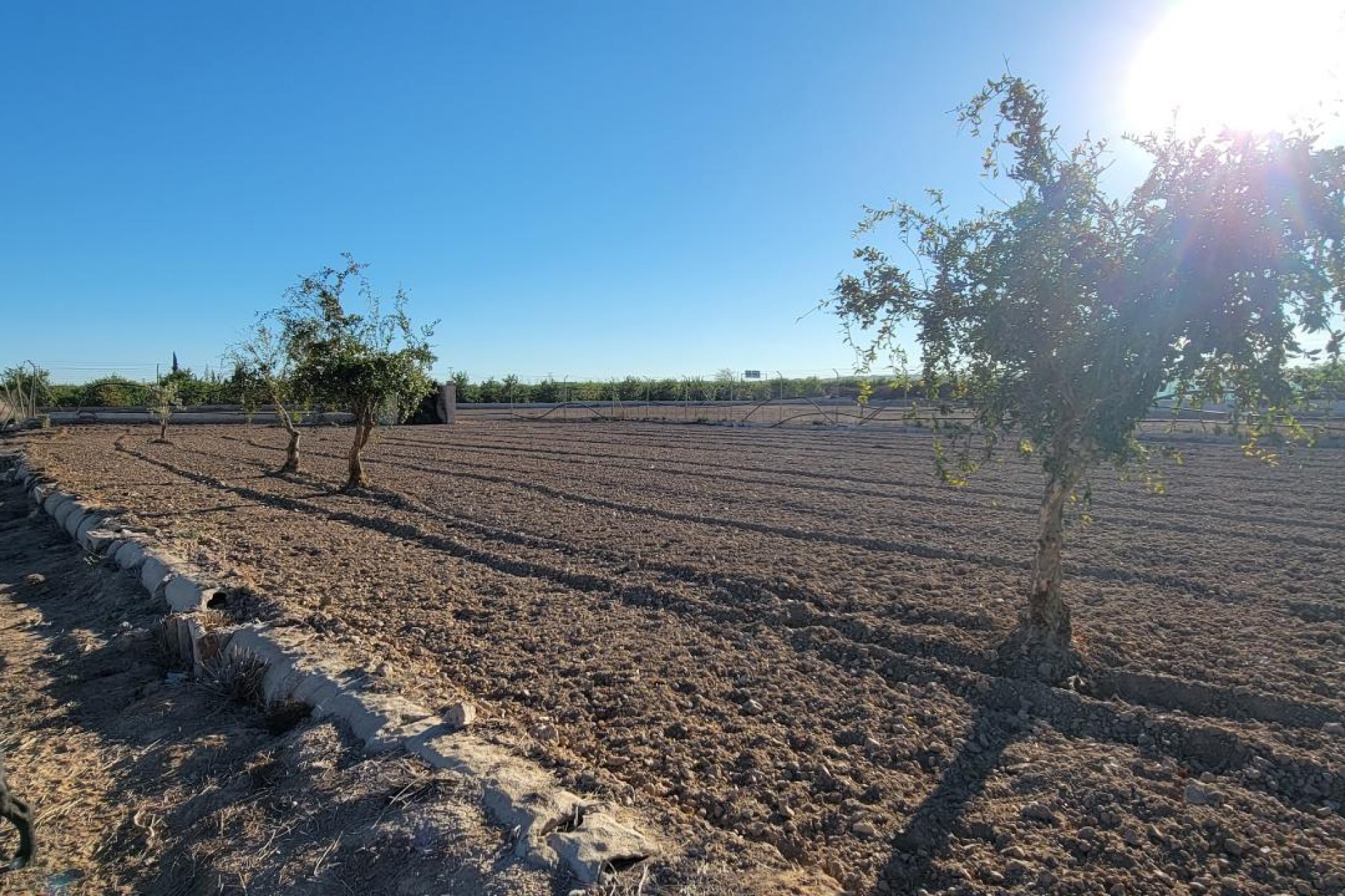 Revente - Finca / Propriété de campagne - San Miguel de Salinas