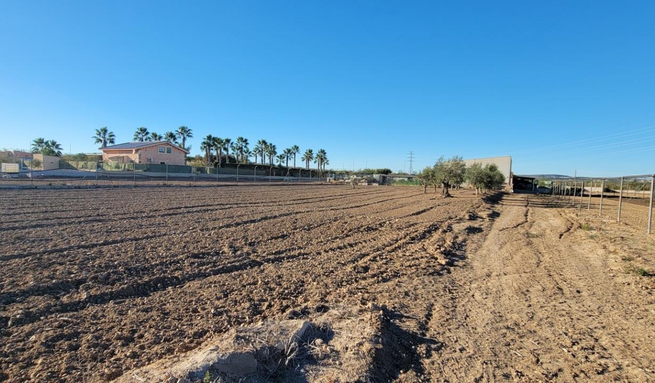 Revente - Finca / Propriété de campagne - San Miguel de Salinas