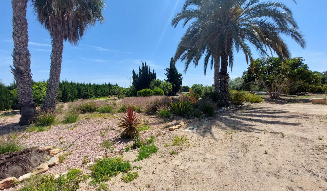 Revente - Finca / Propriété de campagne - San Miguel de Salinas