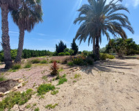 Revente - Finca / Propriété de campagne - San Miguel de Salinas