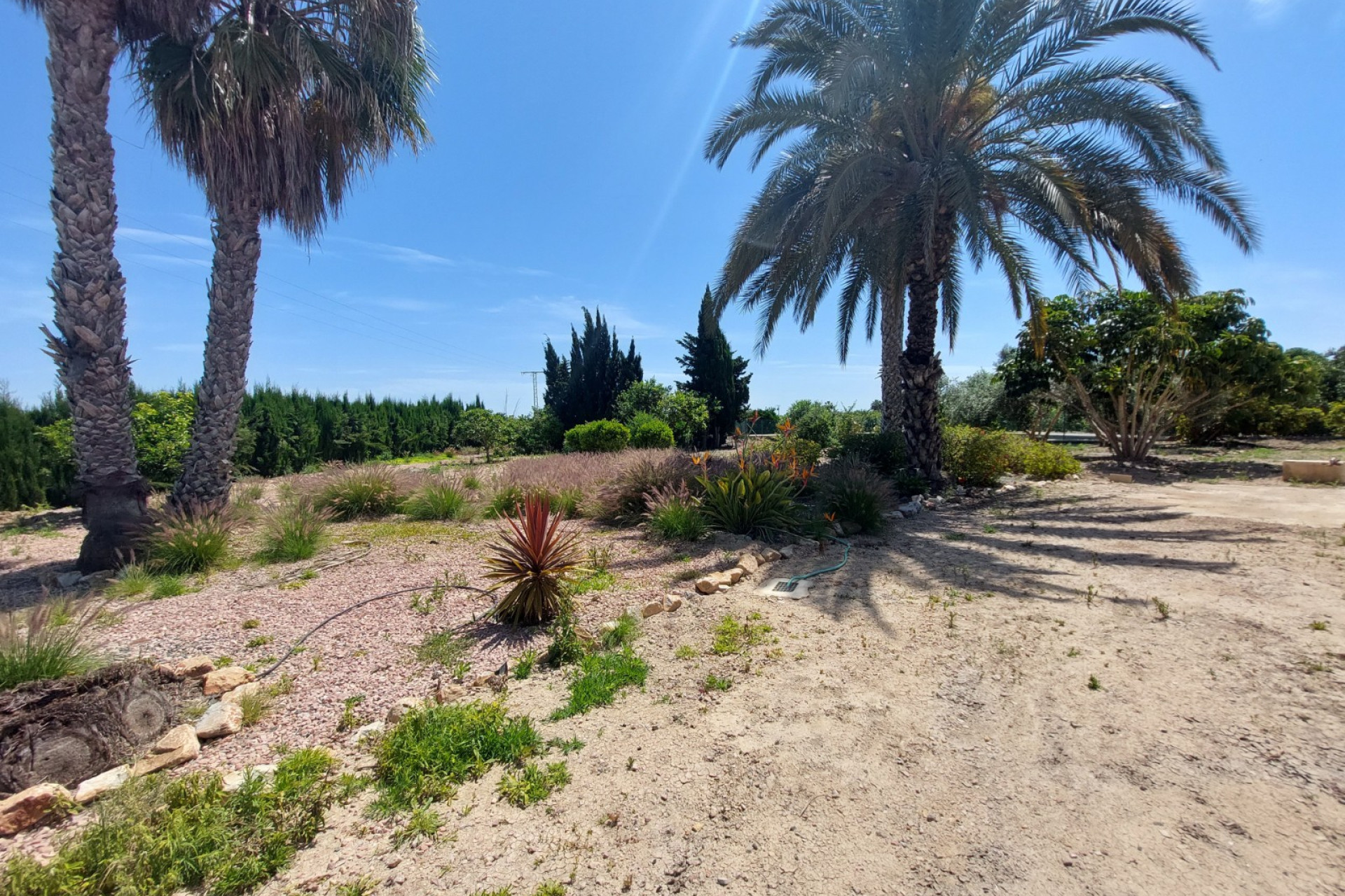 Revente - Finca / Propriété de campagne - San Miguel de Salinas