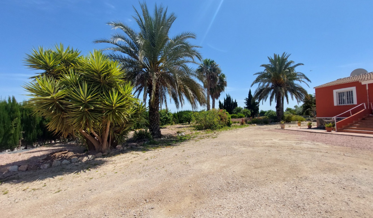 Revente - Finca / Propriété de campagne - San Miguel de Salinas