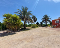 Revente - Finca / Propriété de campagne - San Miguel de Salinas