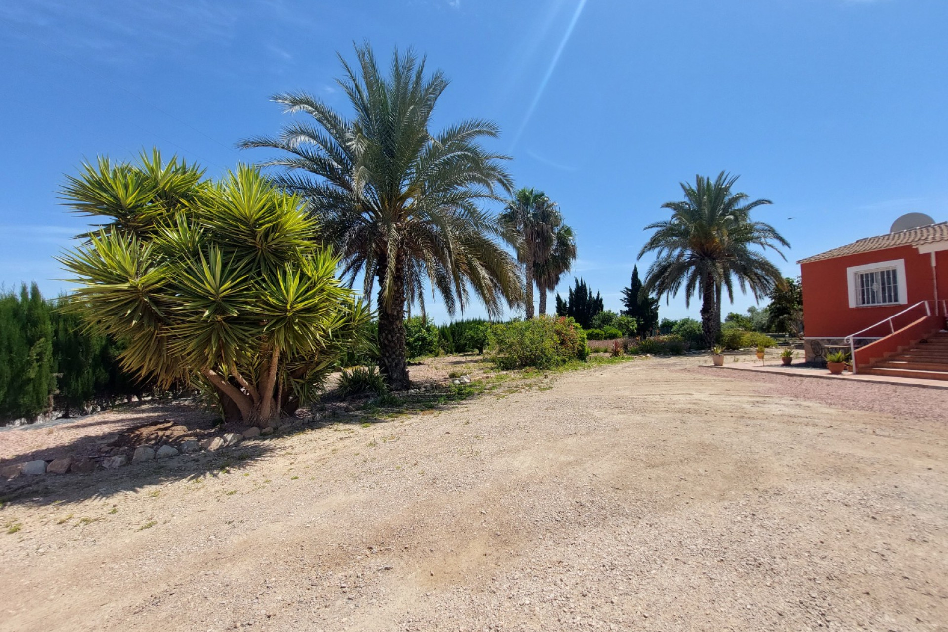 Revente - Finca / Propriété de campagne - San Miguel de Salinas