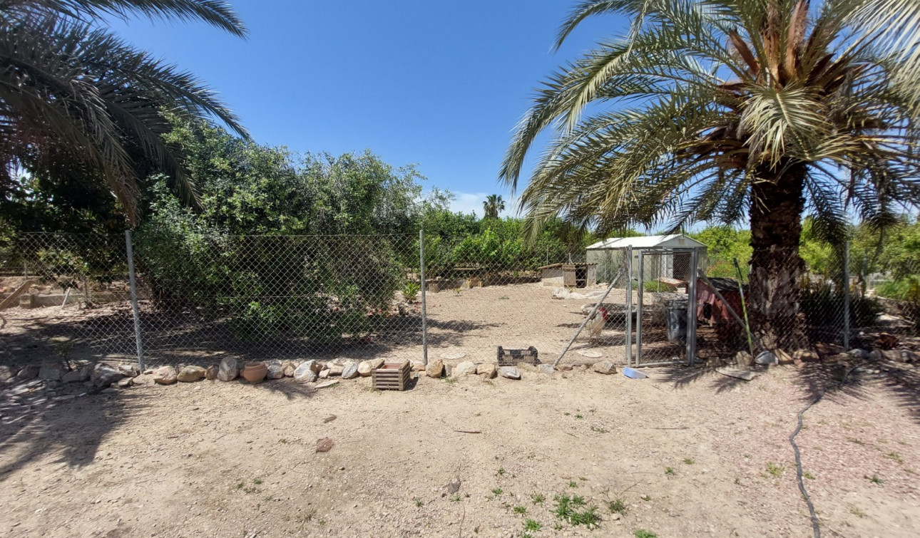 Revente - Finca / Propriété de campagne - San Miguel de Salinas