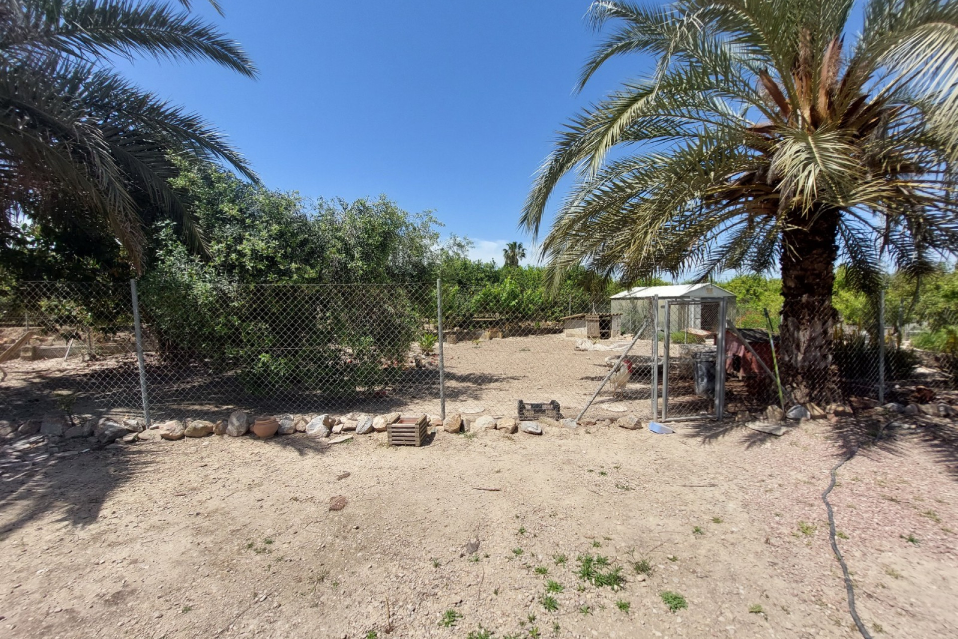 Revente - Finca / Propriété de campagne - San Miguel de Salinas