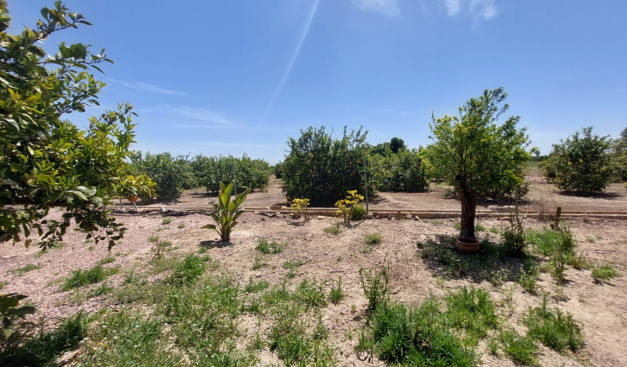 Revente - Finca / Propriété de campagne - San Miguel de Salinas