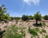 Revente - Finca / Propriété de campagne - San Miguel de Salinas