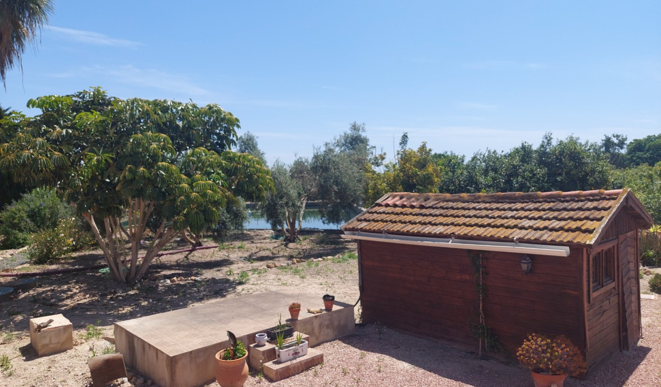 Revente - Finca / Propriété de campagne - San Miguel de Salinas