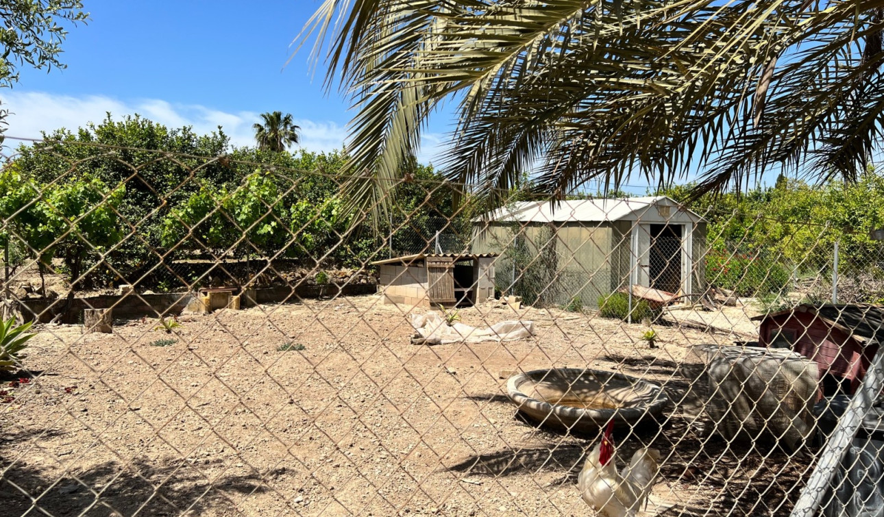 Revente - Finca / Propriété de campagne - San Miguel de Salinas