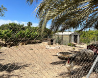 Revente - Finca / Propriété de campagne - San Miguel de Salinas