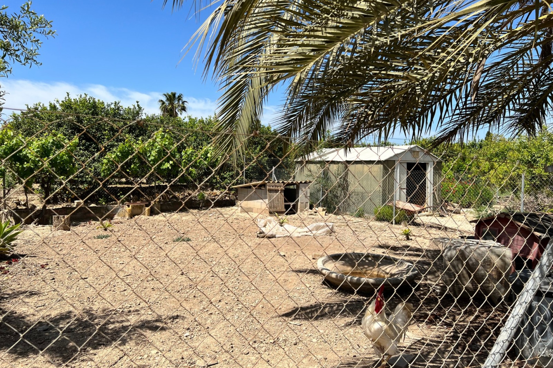 Revente - Finca / Propriété de campagne - San Miguel de Salinas