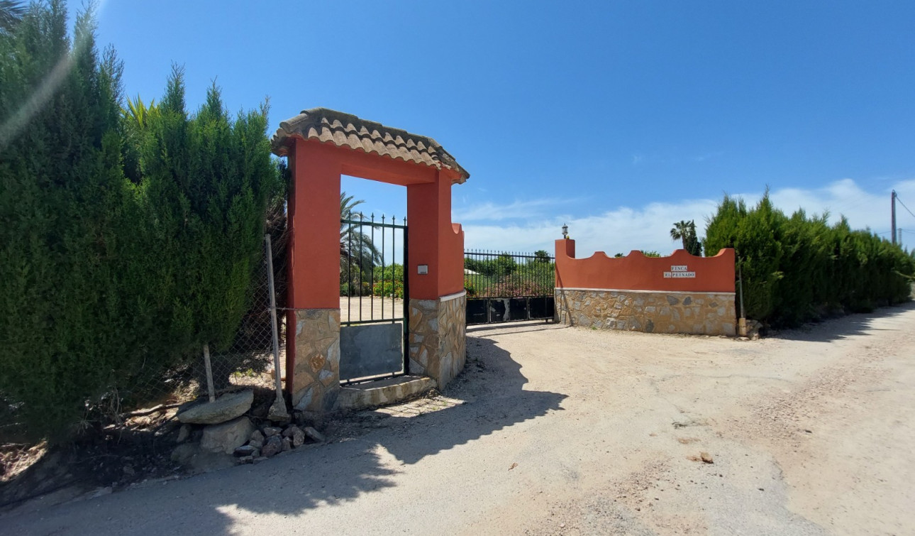 Revente - Finca / Propriété de campagne - San Miguel de Salinas