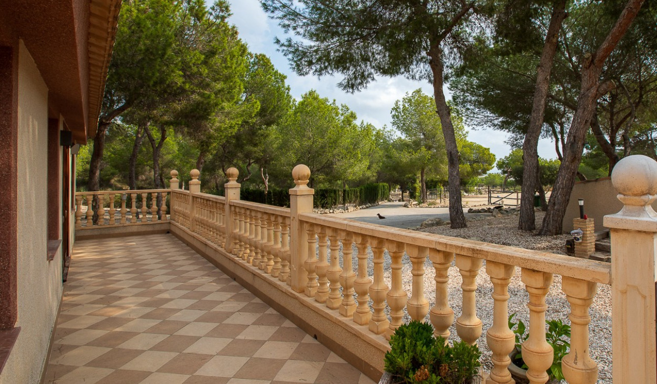 Revente - Finca / Propriété de campagne - Torremendo