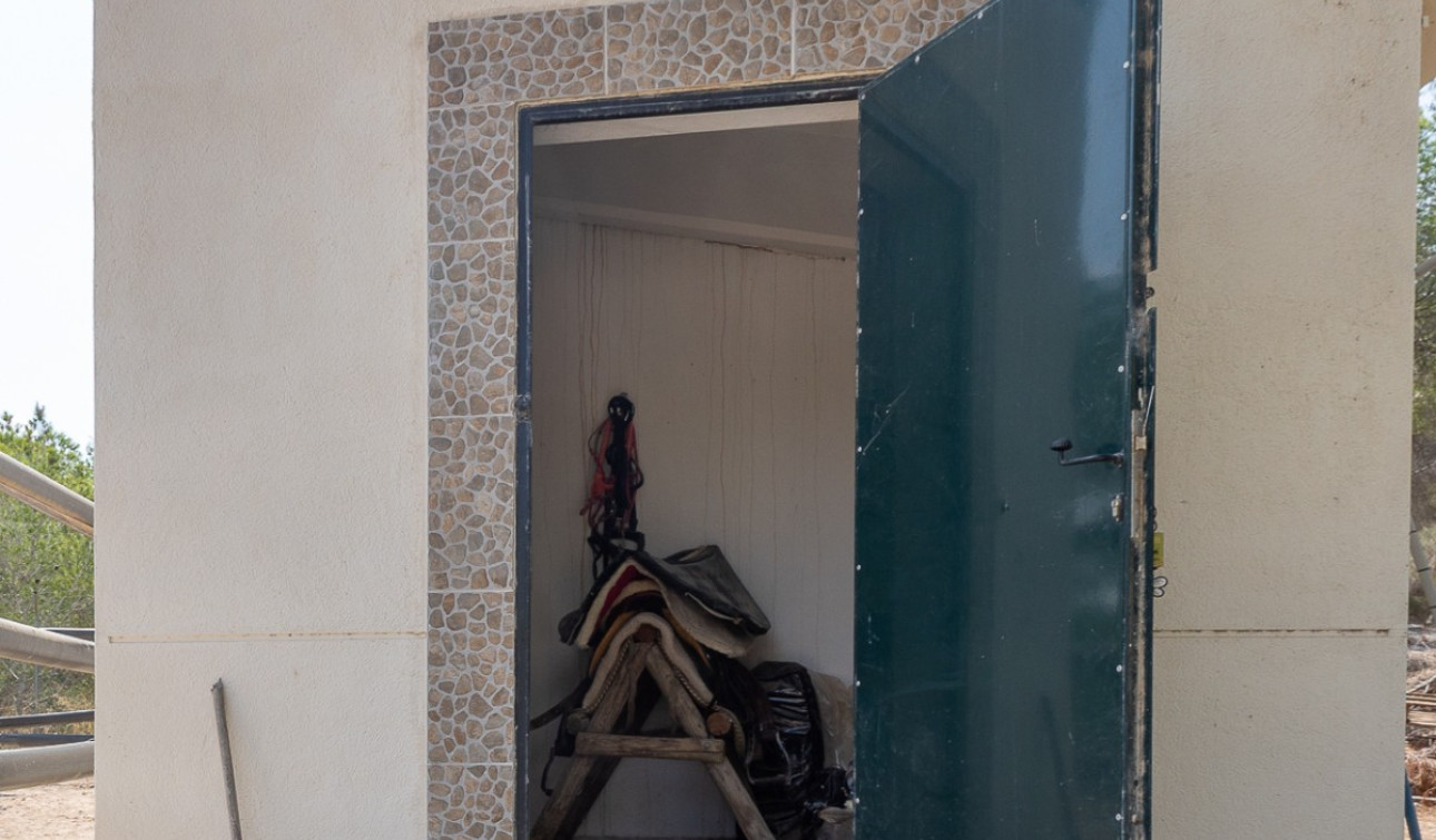 Revente - Finca / Propriété de campagne - Torremendo