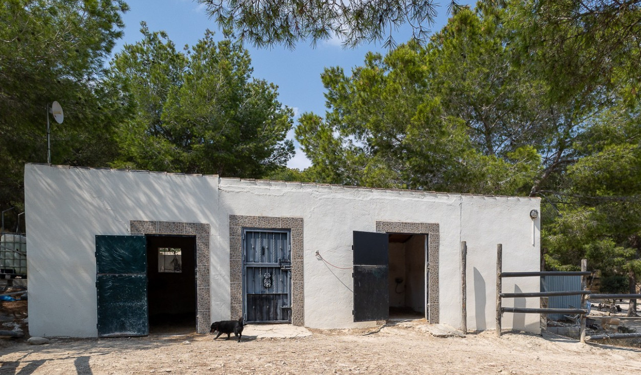 Revente - Finca / Propriété de campagne - Torremendo
