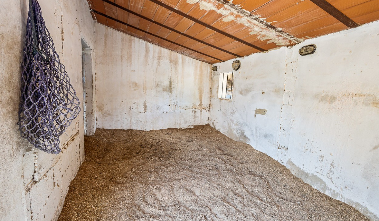 Revente - Finca / Propriété de campagne - Torremendo