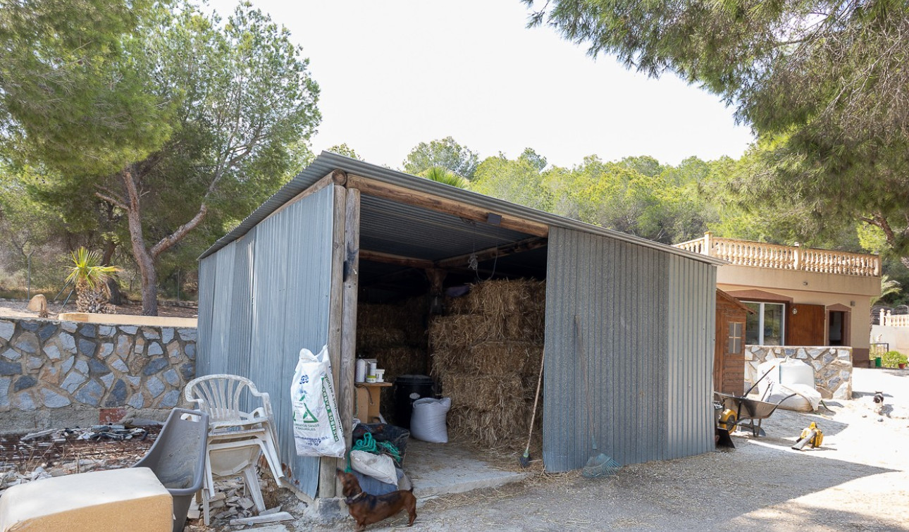 Revente - Finca / Propriété de campagne - Torremendo