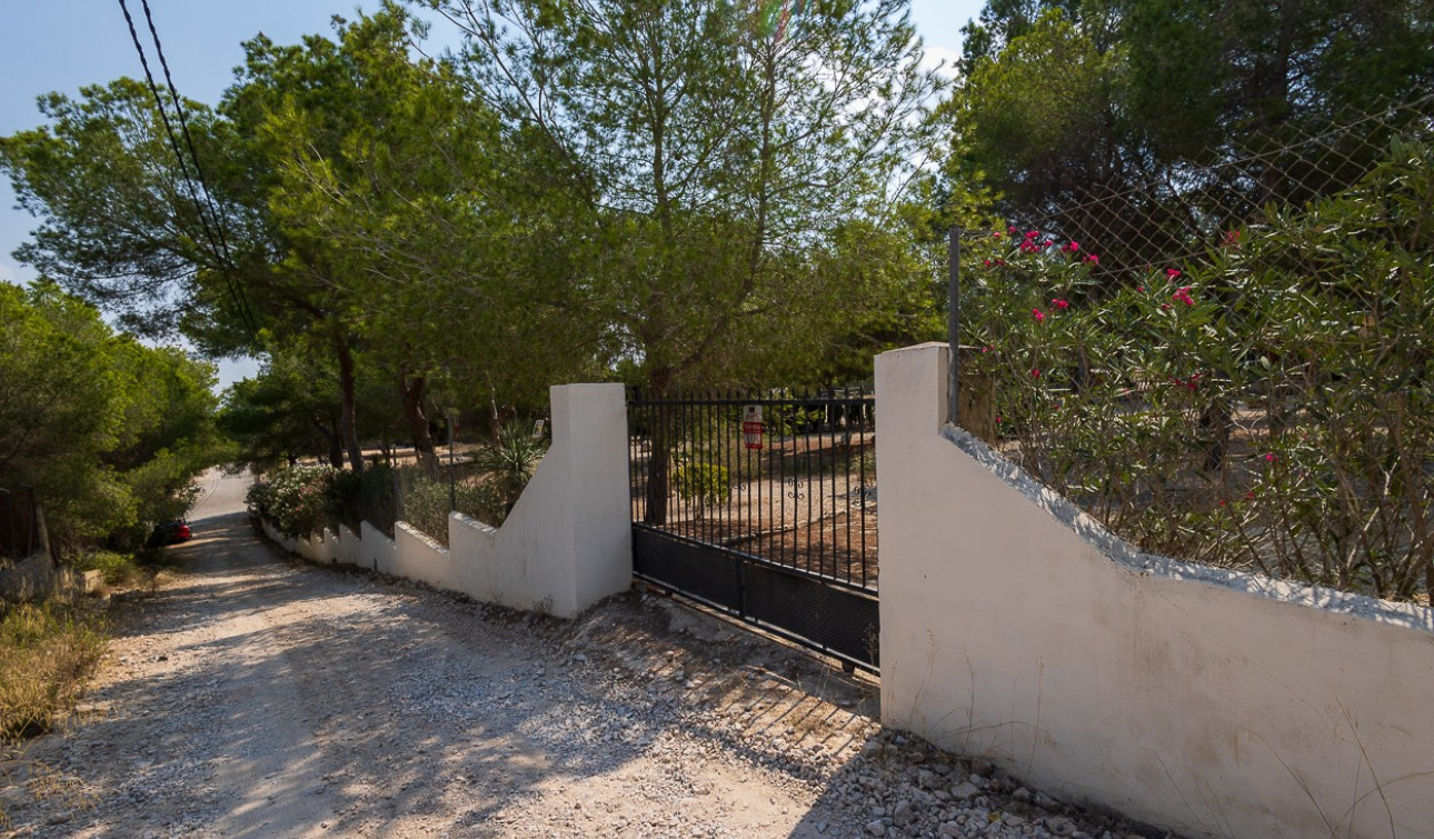 Revente - Finca / Propriété de campagne - Torremendo