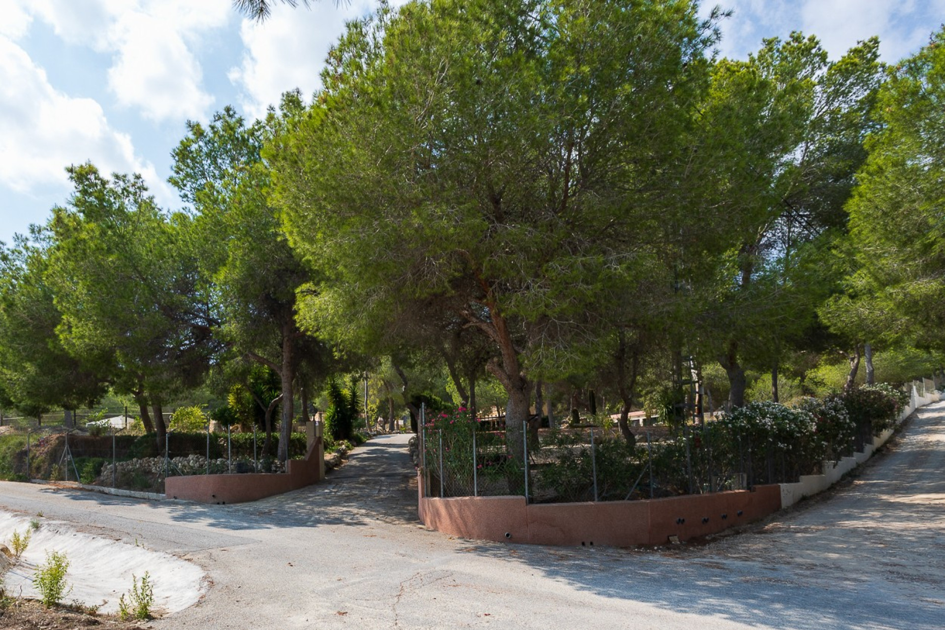 Revente - Finca / Propriété de campagne - Torremendo
