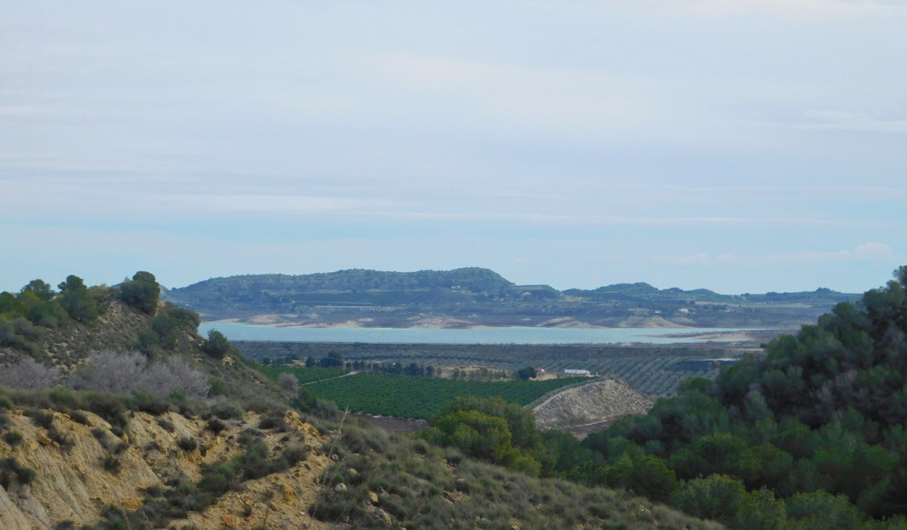 Revente - Finca / Propriété de campagne - Torremendo