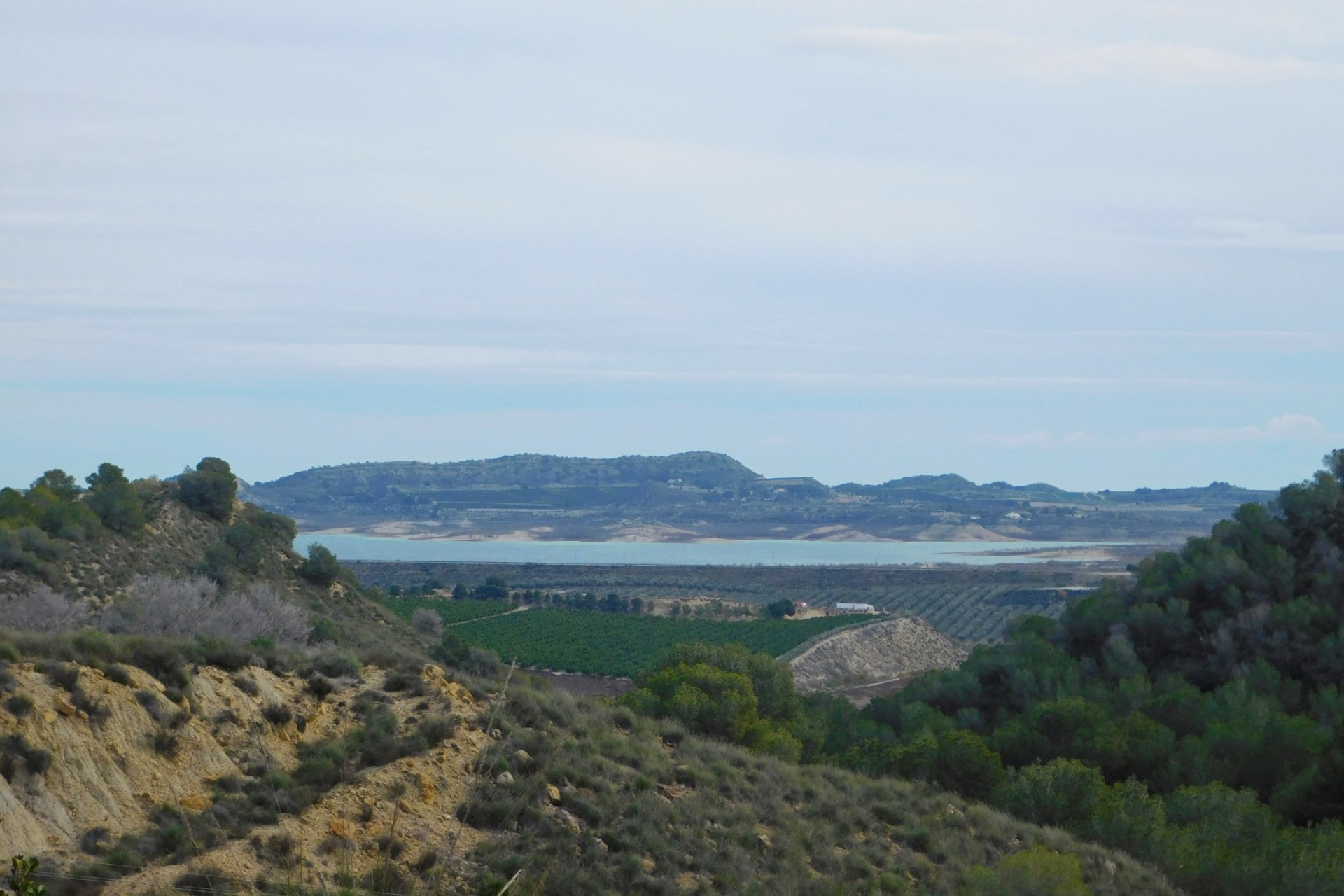 Revente - Finca / Propriété de campagne - Torremendo