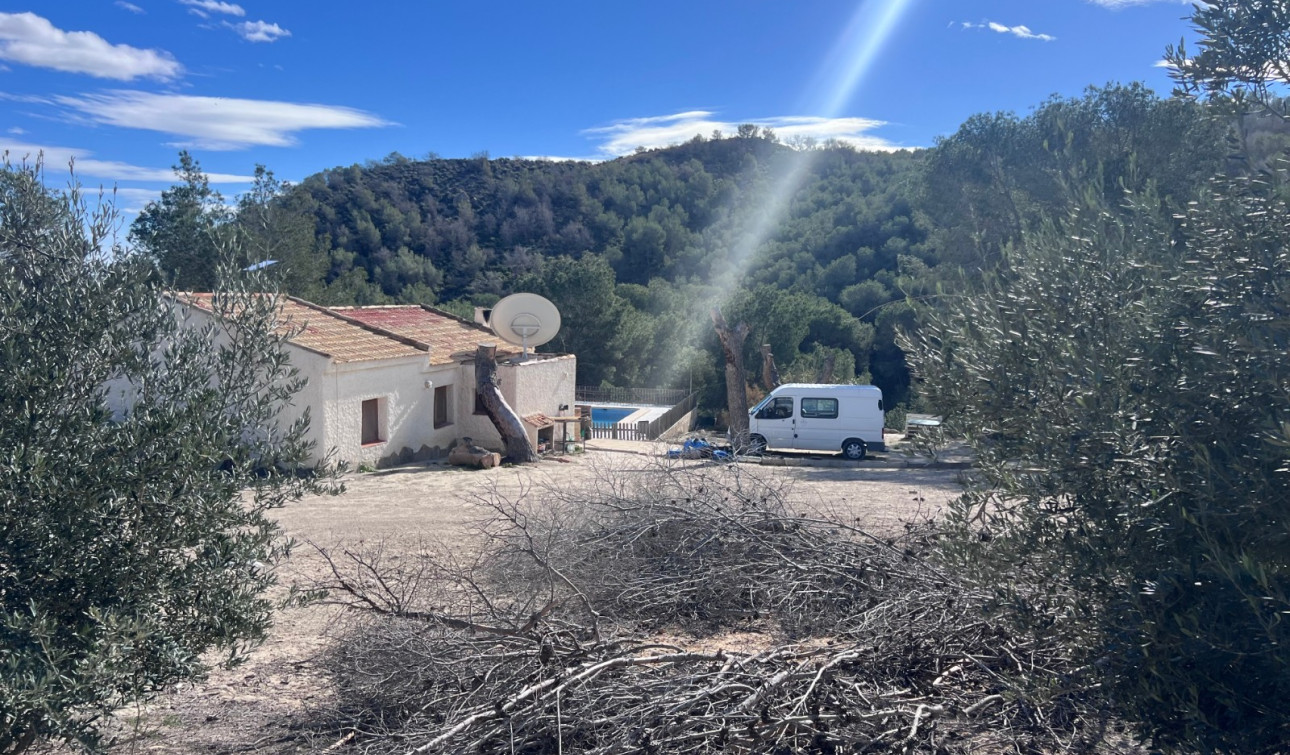 Revente - Finca / Propriété de campagne - Torremendo