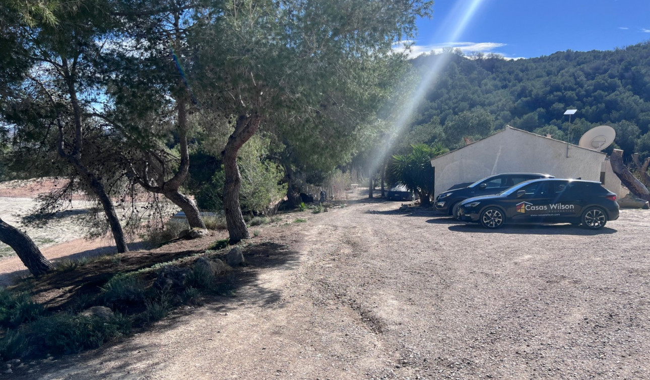 Revente - Finca / Propriété de campagne - Torremendo