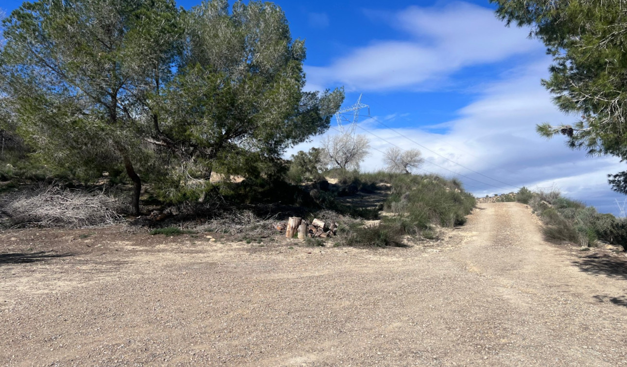 Revente - Finca / Propriété de campagne - Torremendo