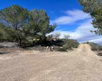 Revente - Finca / Propriété de campagne - Torremendo