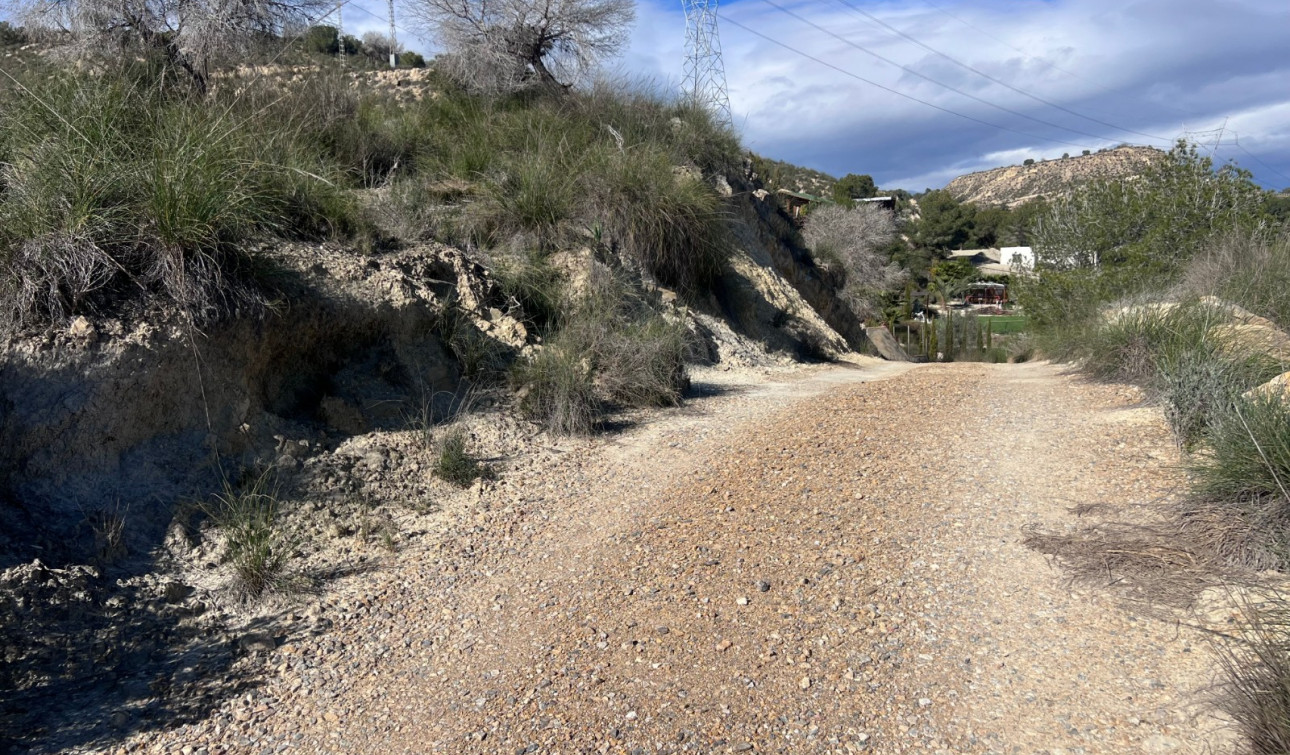 Revente - Finca / Propriété de campagne - Torremendo
