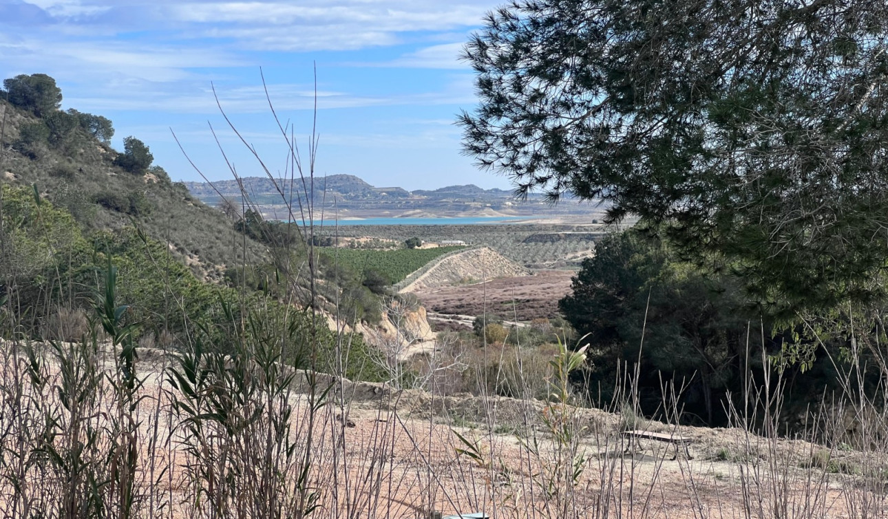 Revente - Finca / Propriété de campagne - Torremendo