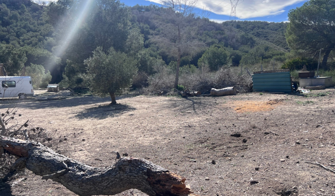 Revente - Finca / Propriété de campagne - Torremendo