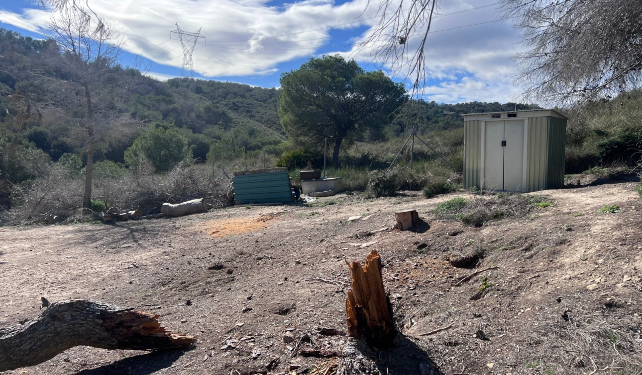 Revente - Finca / Propriété de campagne - Torremendo