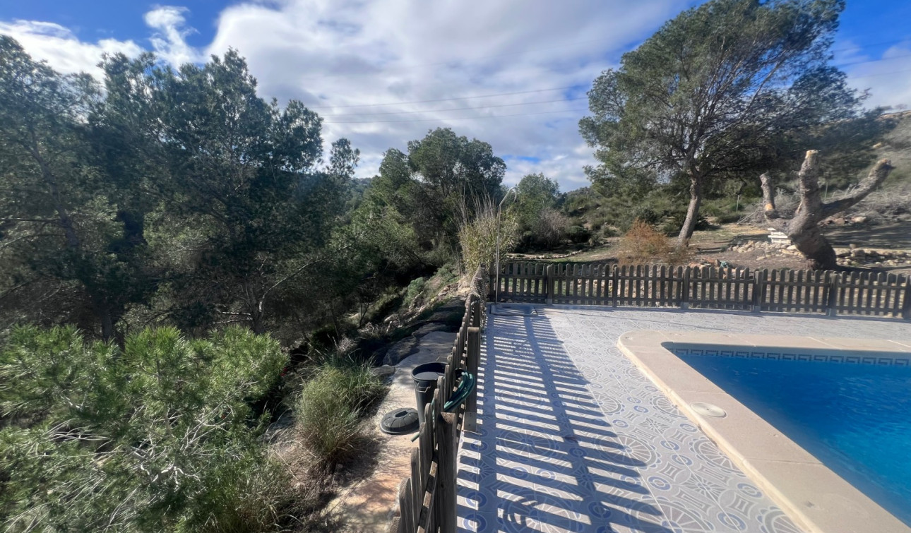 Revente - Finca / Propriété de campagne - Torremendo