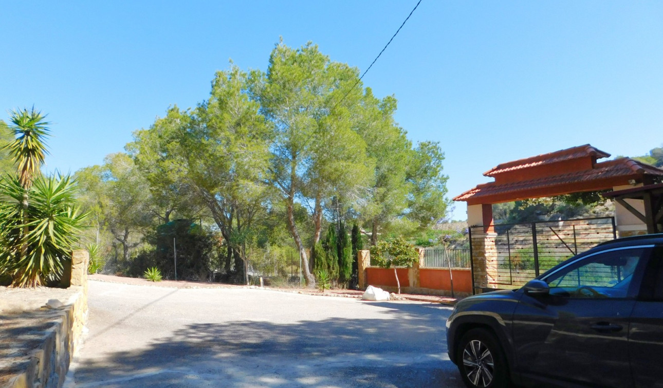 Revente - Finca / Propriété de campagne - Torremendo