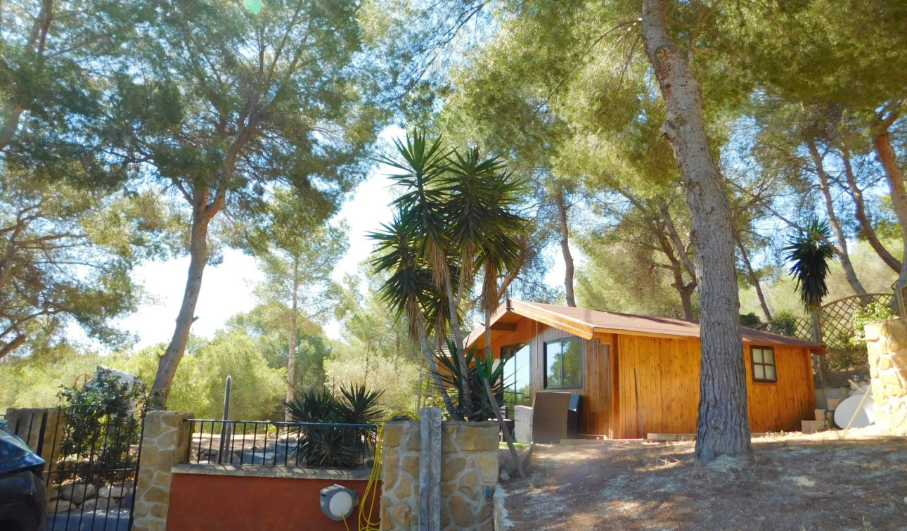 Revente - Finca / Propriété de campagne - Torremendo