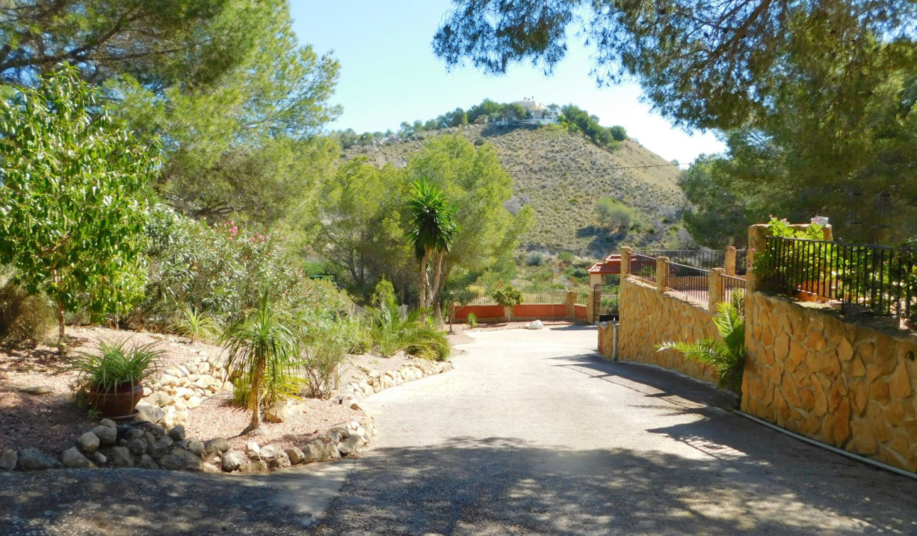 Revente - Finca / Propriété de campagne - Torremendo