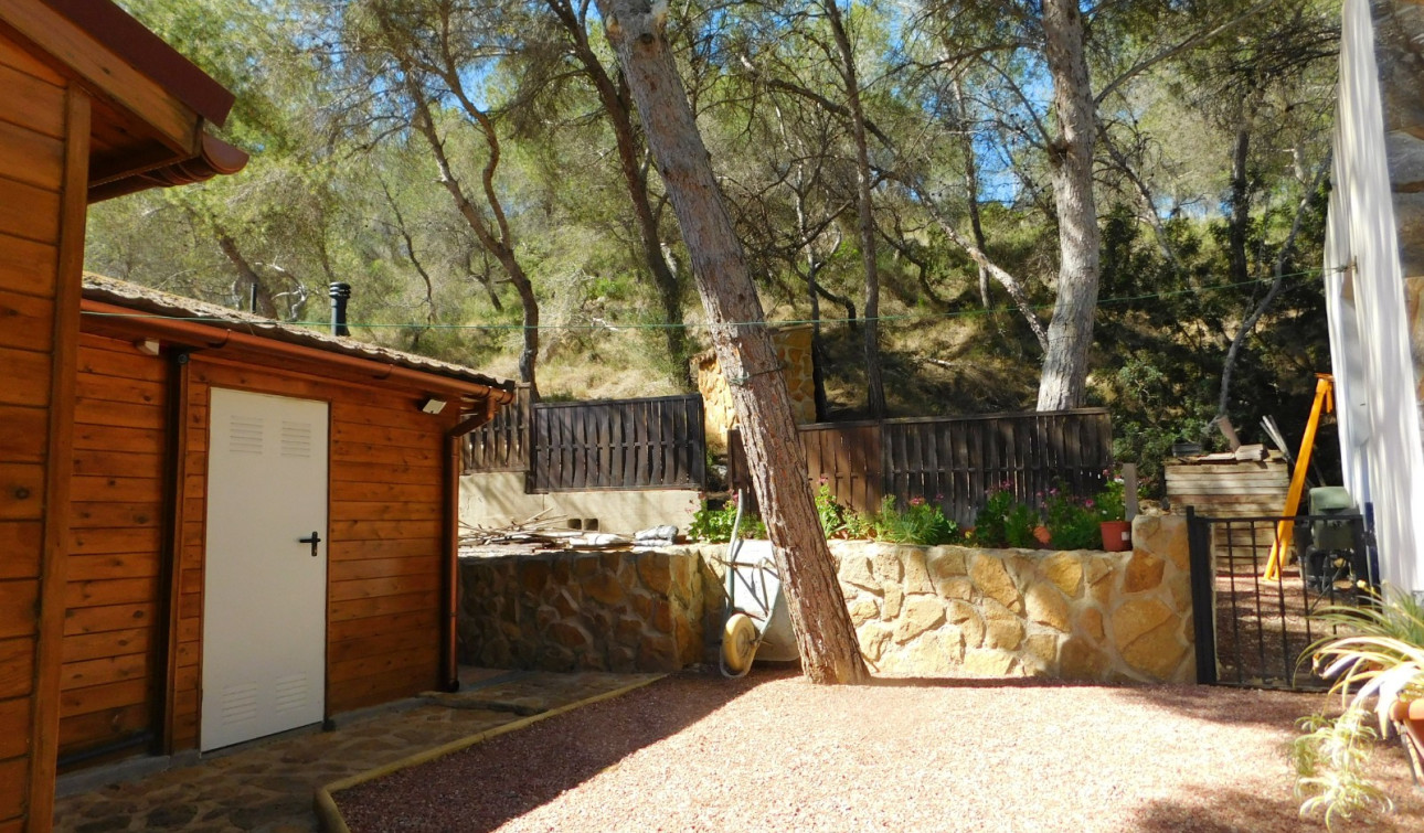 Revente - Finca / Propriété de campagne - Torremendo