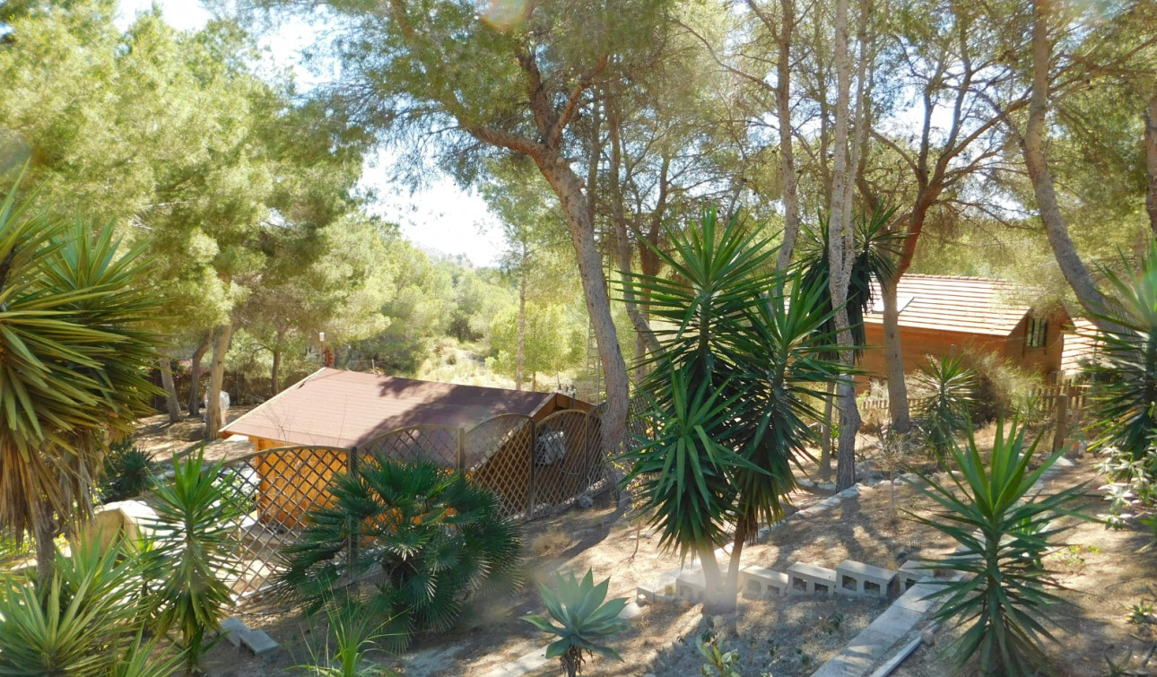 Revente - Finca / Propriété de campagne - Torremendo