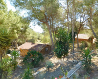 Revente - Finca / Propriété de campagne - Torremendo