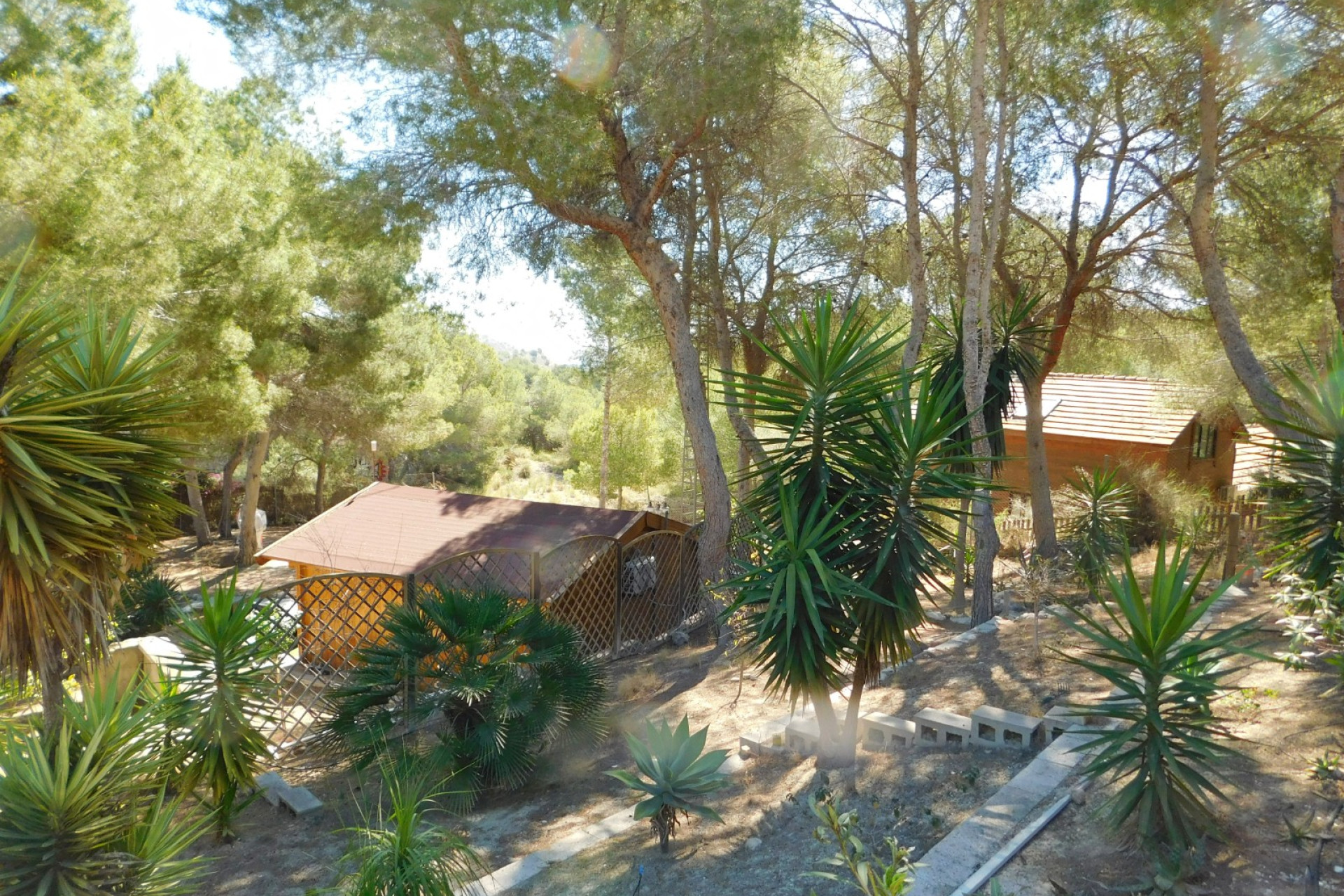 Revente - Finca / Propriété de campagne - Torremendo