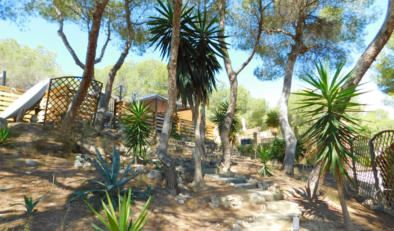 Revente - Finca / Propriété de campagne - Torremendo