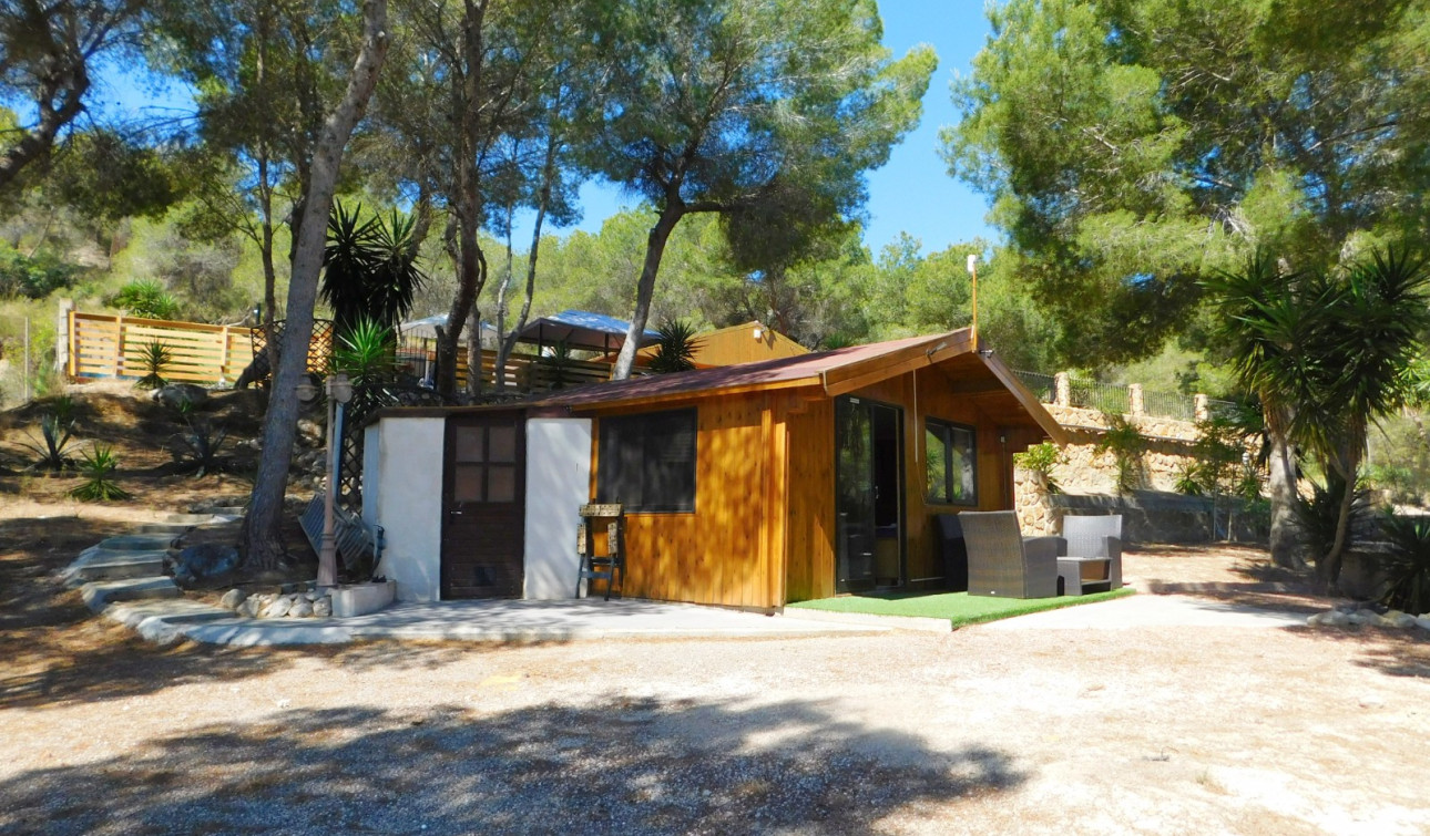Revente - Finca / Propriété de campagne - Torremendo