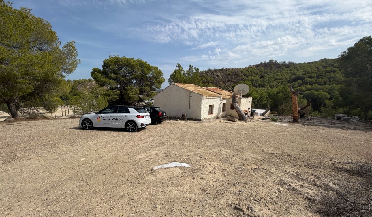 Revente - Finca / Propriété de campagne - Torremendo
