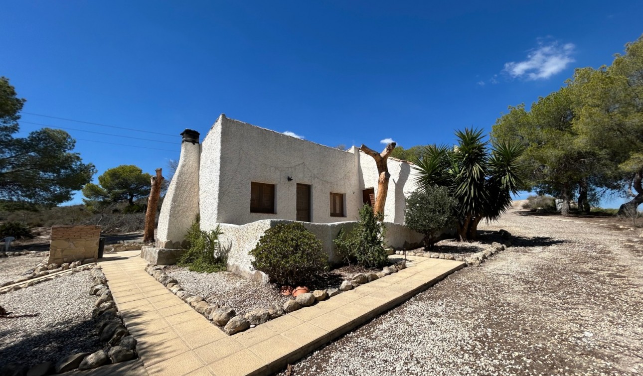 Revente - Finca / Propriété de campagne - Torremendo