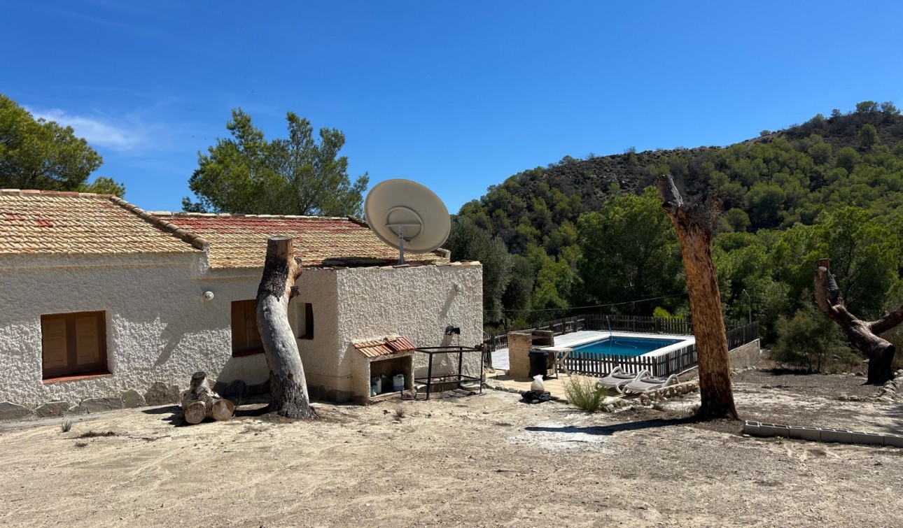 Revente - Finca / Propriété de campagne - Torremendo