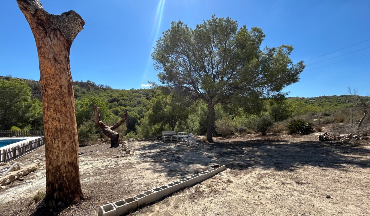 Revente - Finca / Propriété de campagne - Torremendo