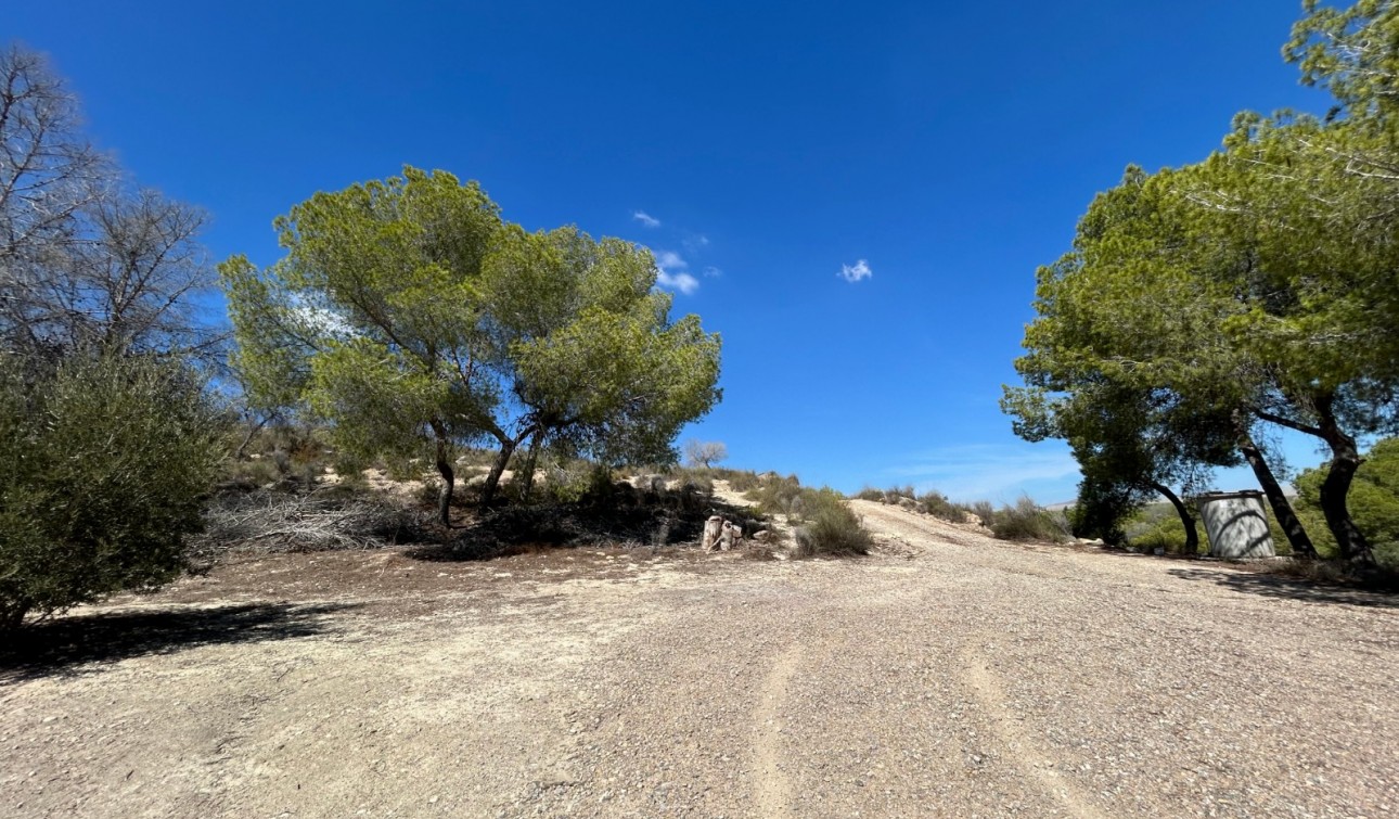 Revente - Finca / Propriété de campagne - Torremendo